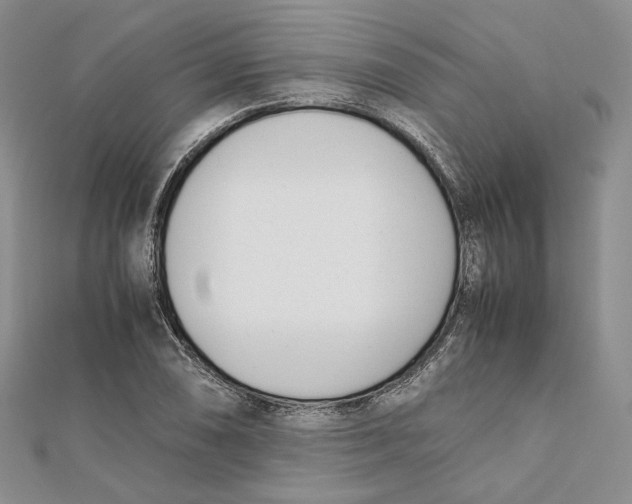 X0000112051074200909010937