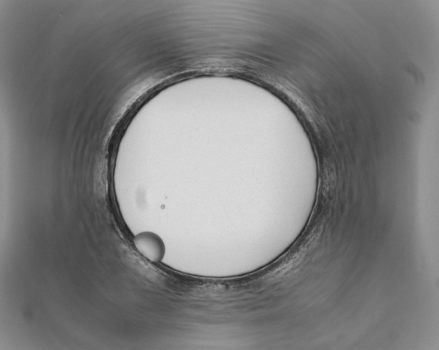 X0000112051075200909010937