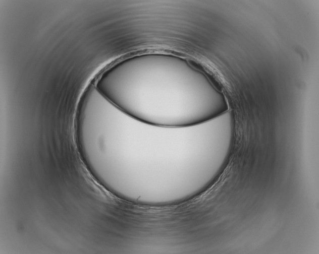 X0000112051076200909010937