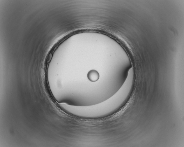 X0000112051077200909010937