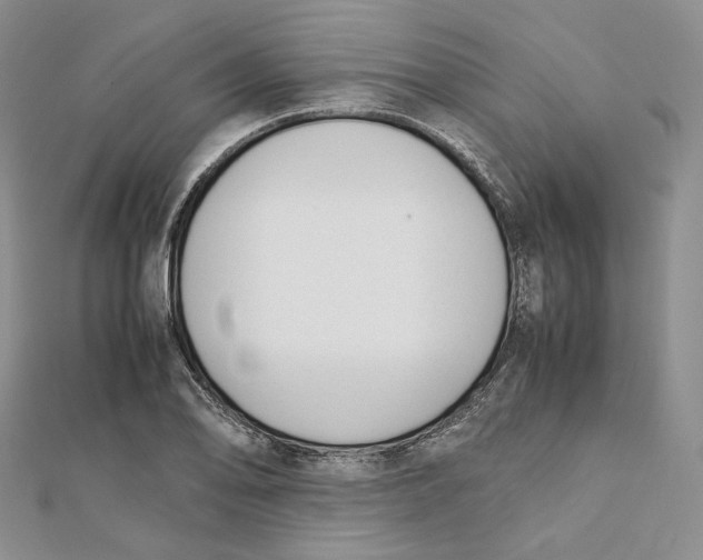 X0000112051078200909010937