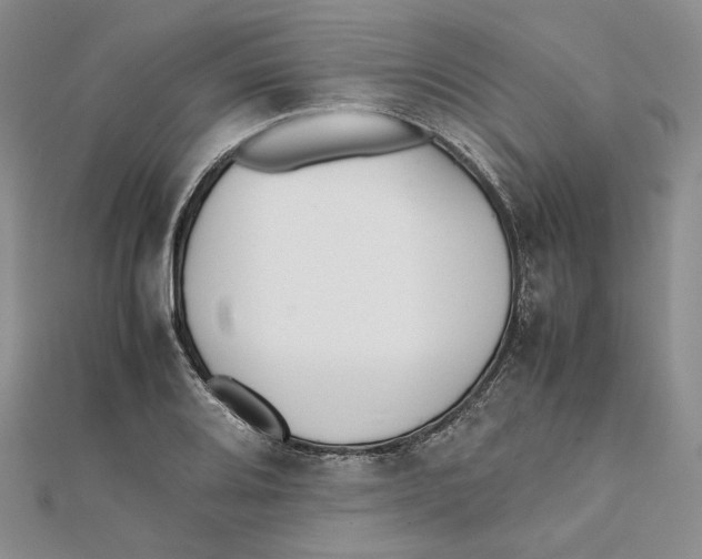 X0000112051080200909010937