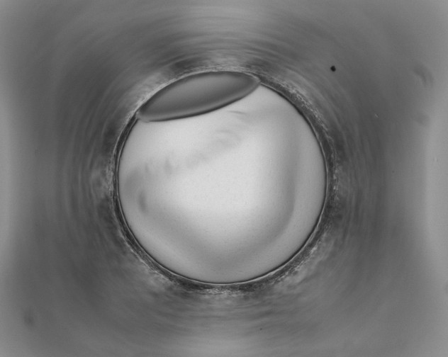 X0000112051081200909010937