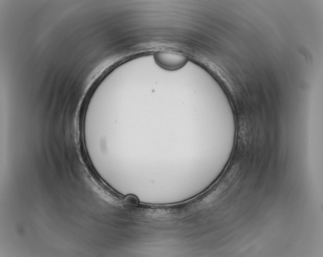 X0000112051082200909010937