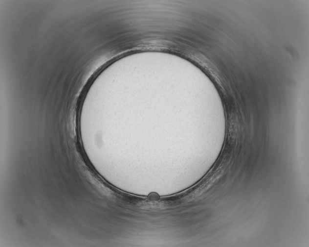 X0000112051083200909010937
