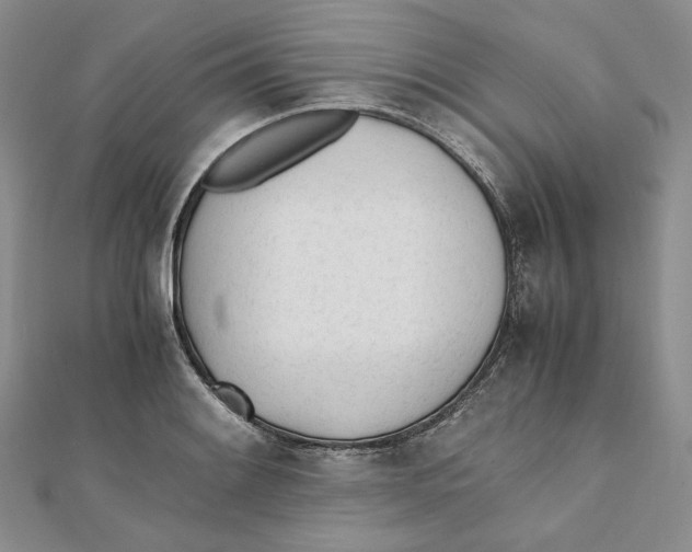 X0000112051084200909010937