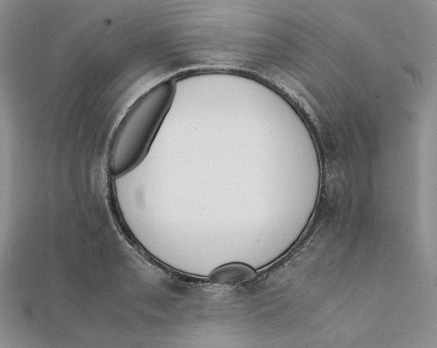 X0000112051085200909010937