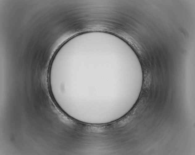 X0000112051086200909010937