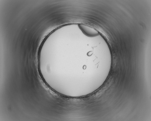 X0000112051088200909010937