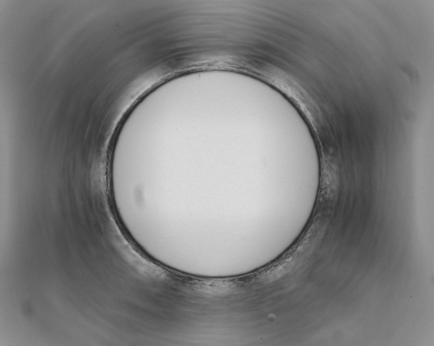X0000112051090200909010937