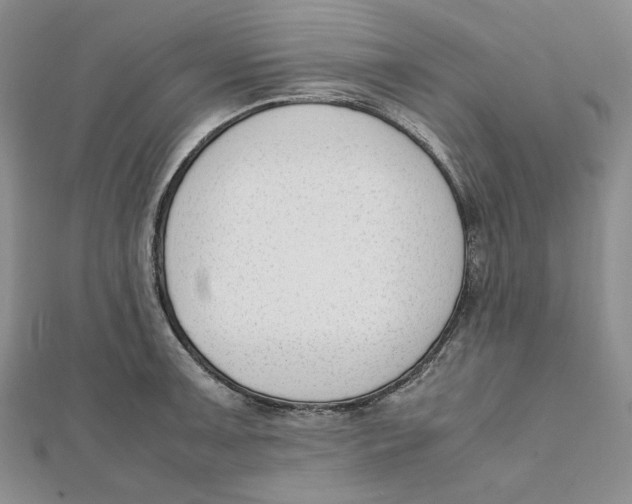 X0000112051091200909010937