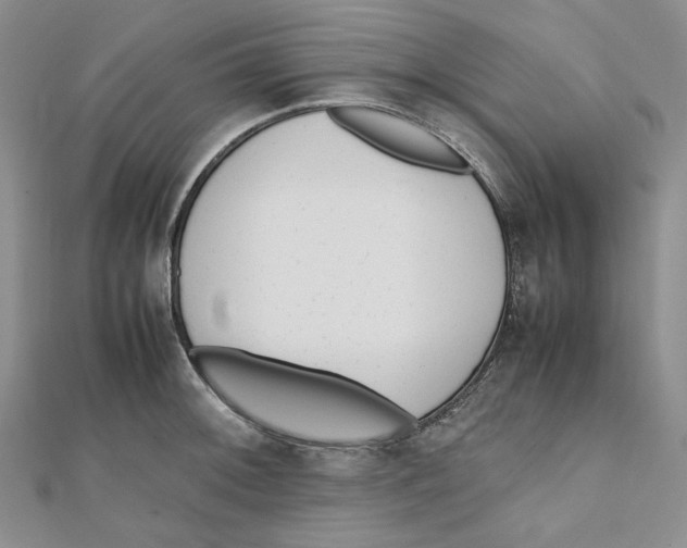 X0000112051092200909010937