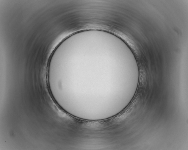 X0000112051094200909010937