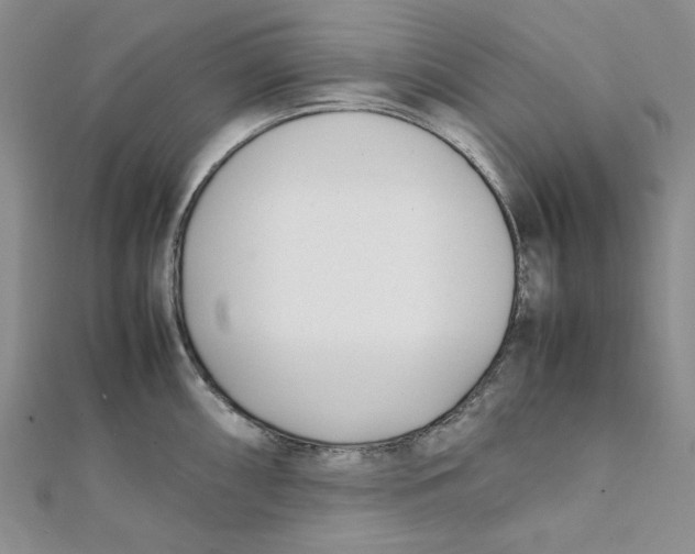 X0000112051098200909010937