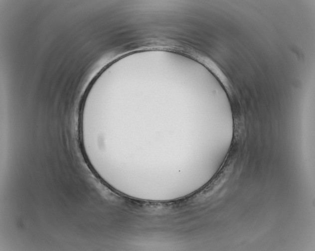 X0000112051099200909010937