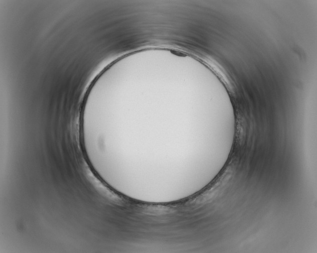 X0000112051100200909010937