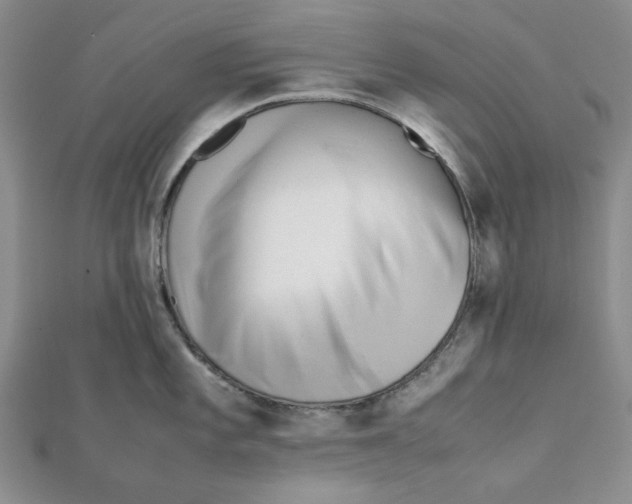 X0000112051101200909010937