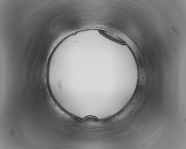 X0000112051102200909010937