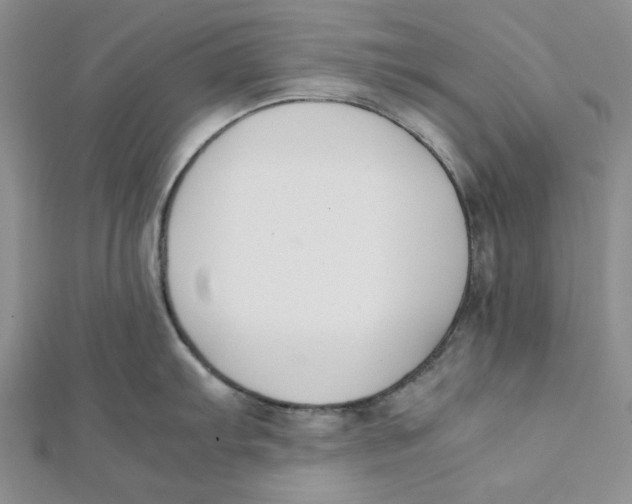 X0000112051103200909010937