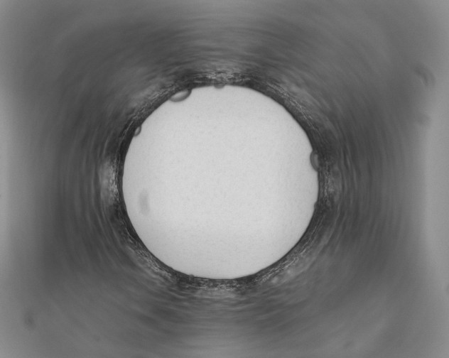 X0000112051106200909010937