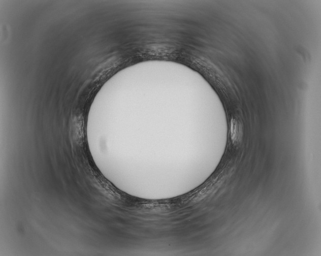 X0000112051107200909010937