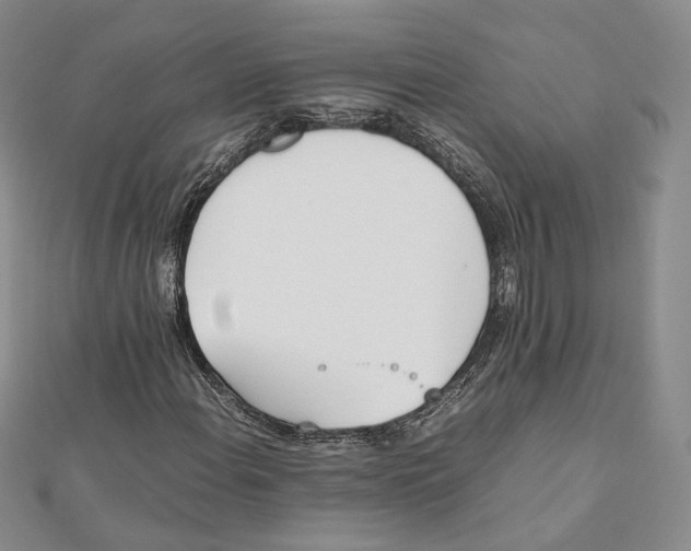 X0000112051108200909010937