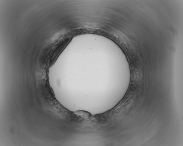 X0000112051110200909010937