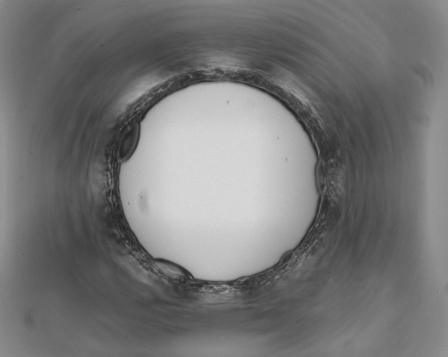 X0000112051112200909010937