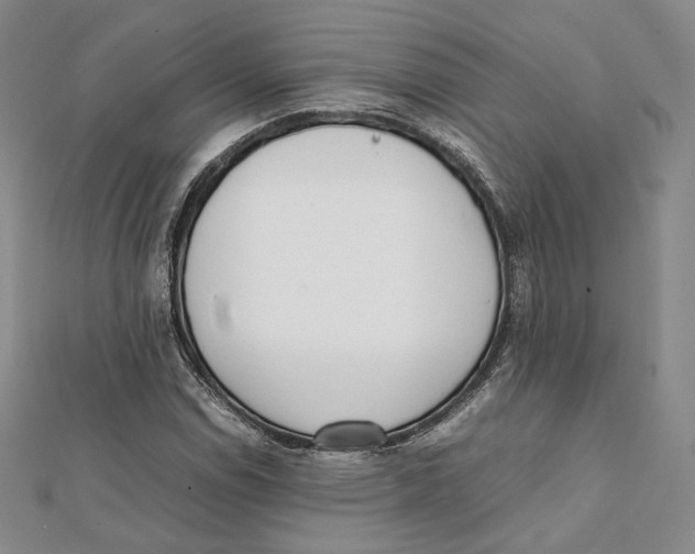X0000112051114200909010937