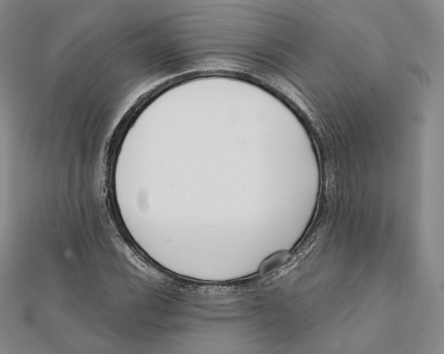 X0000112051116200909010937