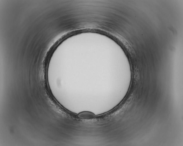 X0000112051118200909010937