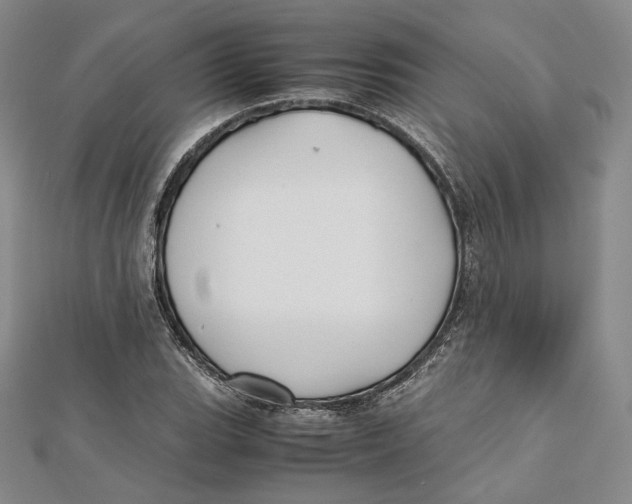 X0000112051119200909010937