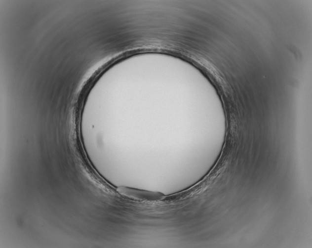 X0000112051120200909010937