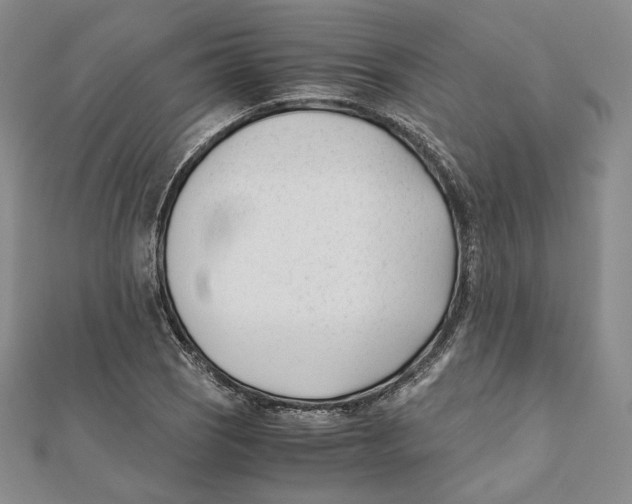 X0000112051121200909010937
