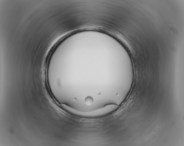 X0000112051124200909010937