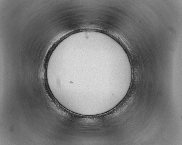 X0000112051125200909010937