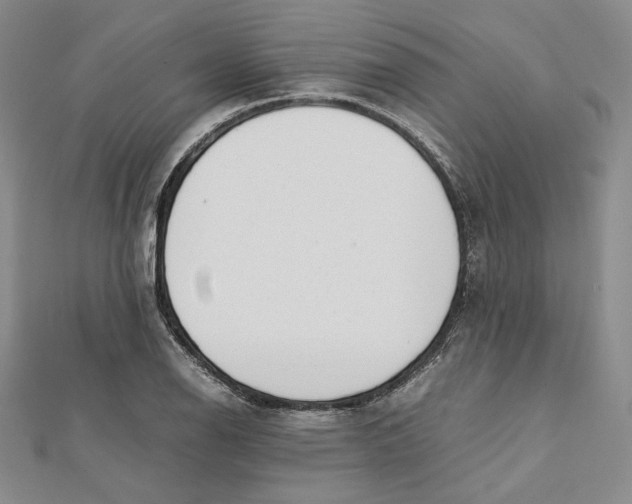 X0000112051126200909010937