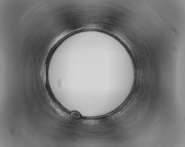 X0000112051127200909010937