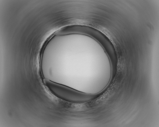X0000112051128200909010937