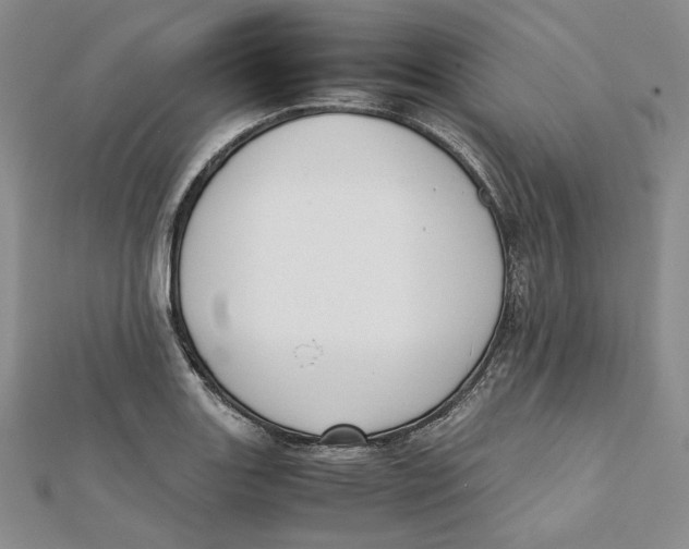 X0000112051131200909010937