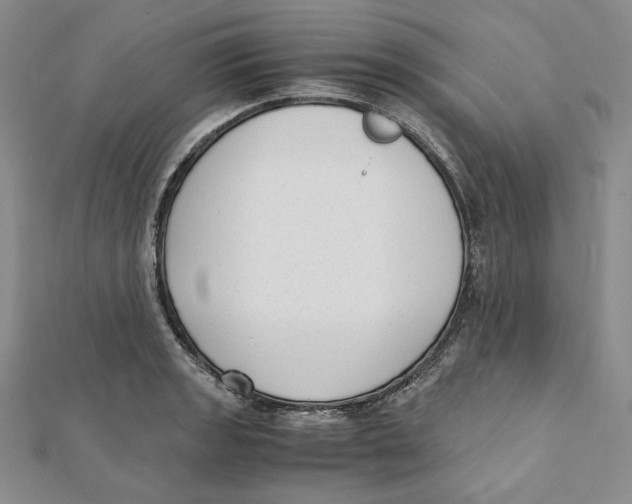 X0000112051133200909010937