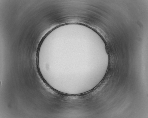 X0000112051134200909010937