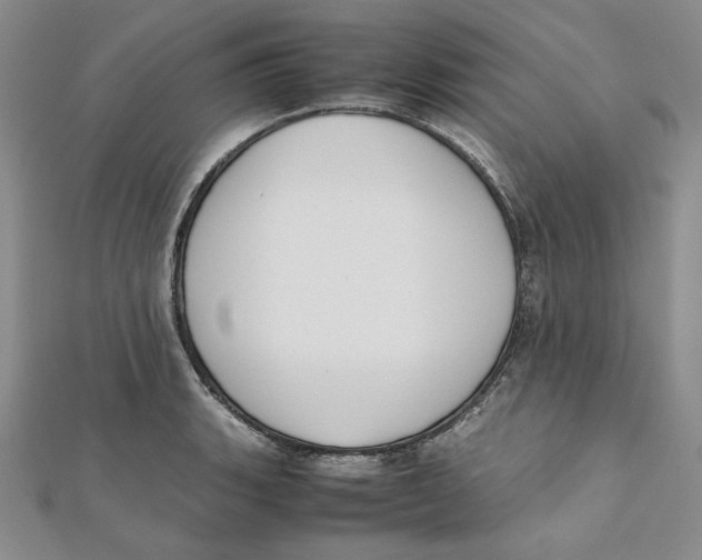 X0000112051135200909010937