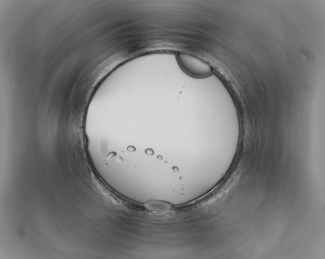 X0000112051137200909010937