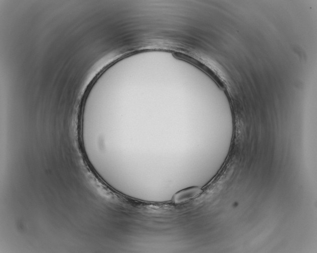 X0000112051138200909010937