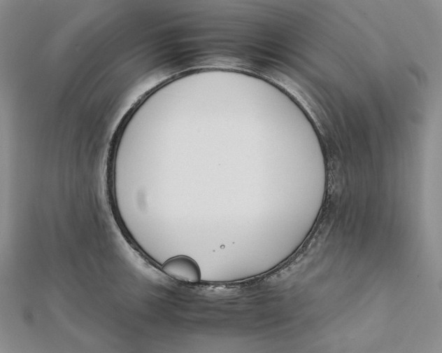 X0000112051139200909010937