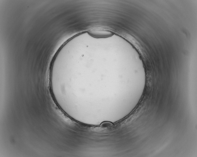 X0000112051140200909010937