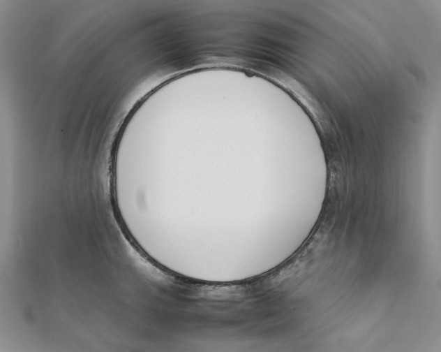X0000112051143200909010937