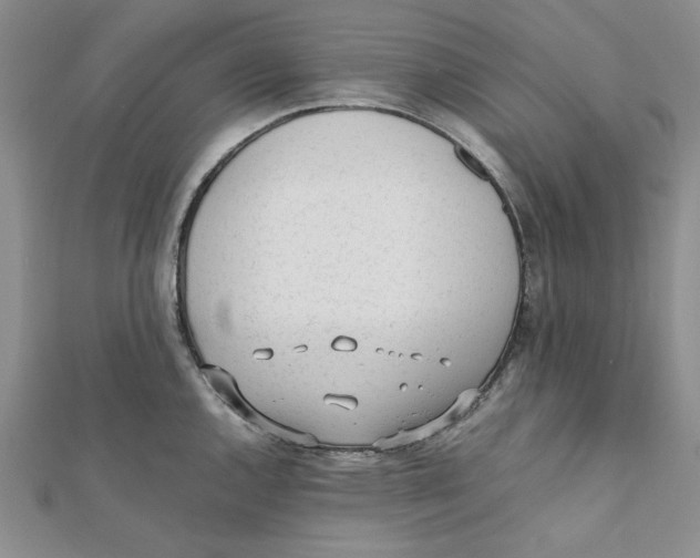X0000112051144200909010937