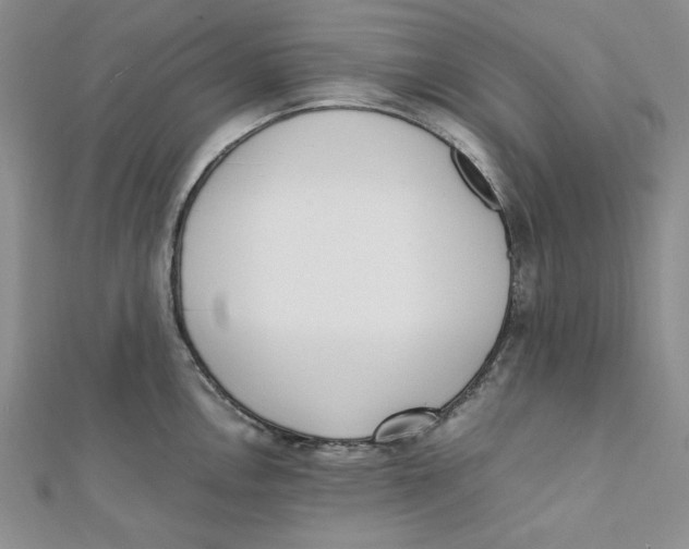 X0000112051146200909010937